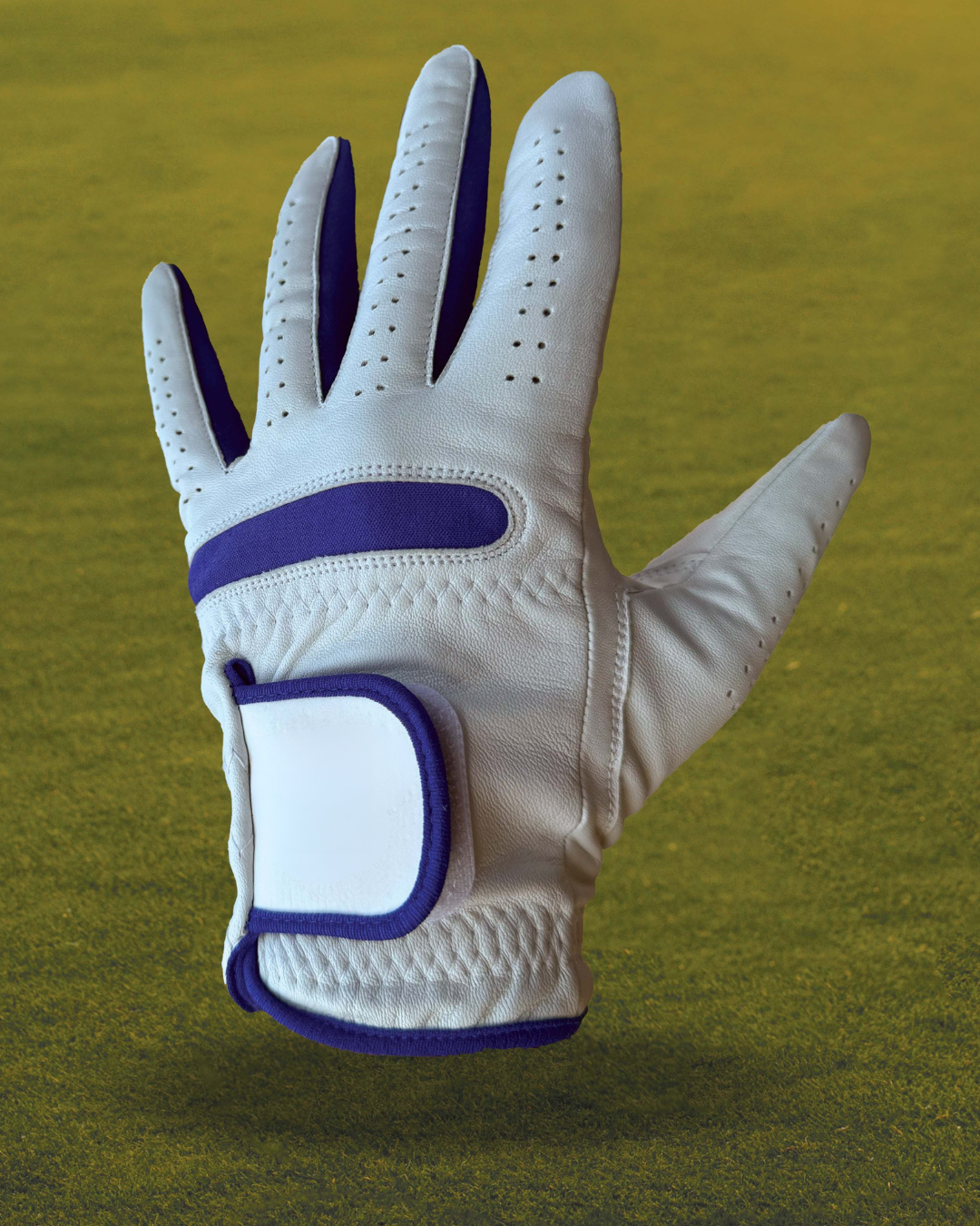 Premium Leather Golf Gloves